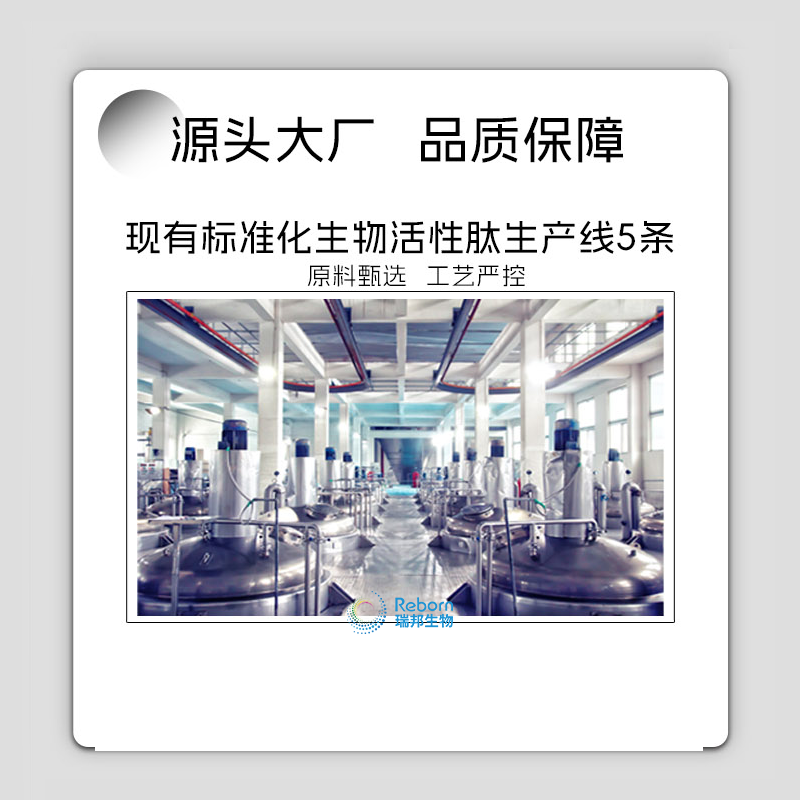 1705368617128142.png 通用03.png