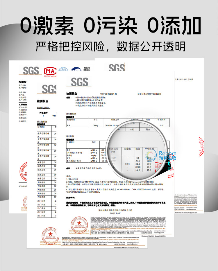 1705453814164287.png 桑葉詳情09.png